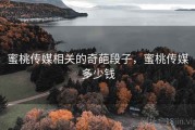 蜜桃传媒相关的奇葩段子，蜜桃传媒多少钱