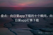盘点：向日葵app下载的十个瞬间，向日葵app打算下载