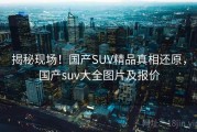 揭秘现场！国产SUV精品真相还原，国产suv大全图片及报价