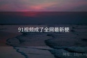91视频成了全网最新梗